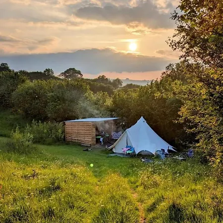 Daisy Bell Tent At Belan Bluebell Woods Llanidloes Exterior photo