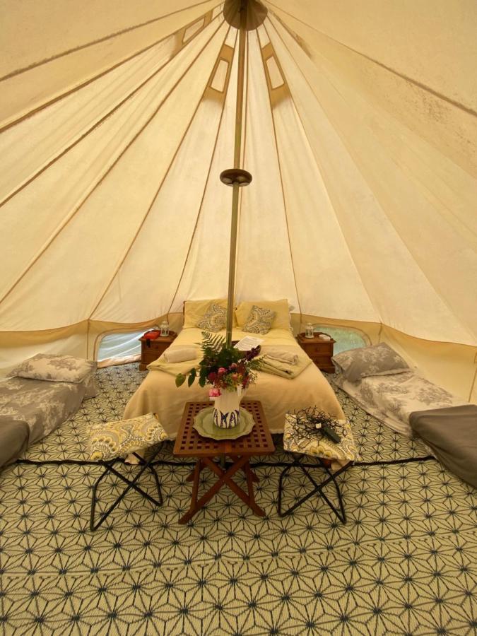 Daisy Bell Tent At Belan Bluebell Woods
