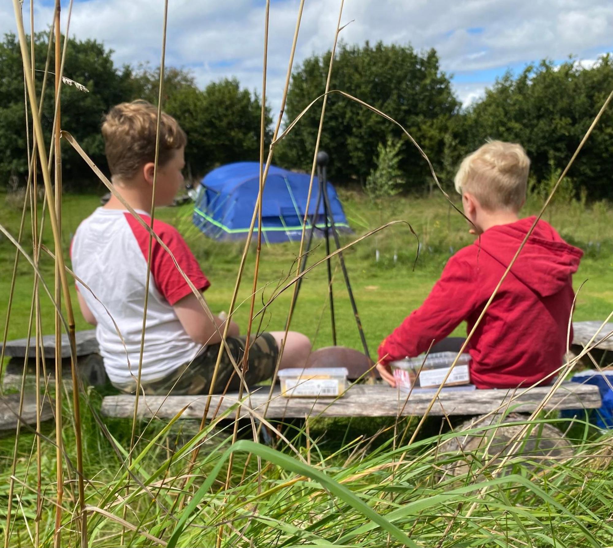 Daisy Bell Tent At Belan Bluebell Woods *